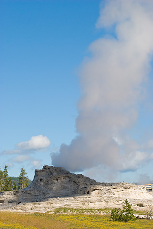 (�2009) Castle Geyser