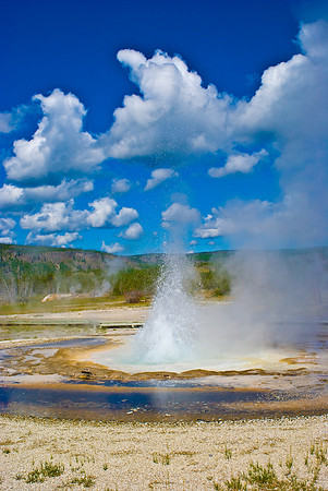 (�2009) Upper Geyser Basin
