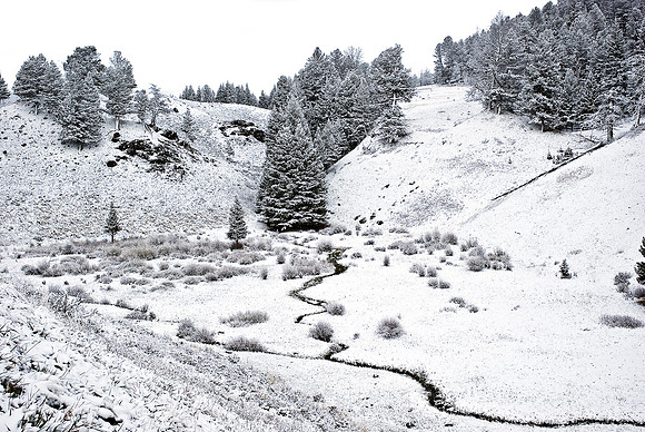 (�2010) Blacktail Lakes