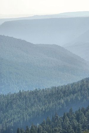 Mountain Mist