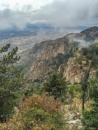 2015