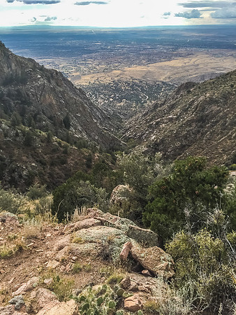 2015