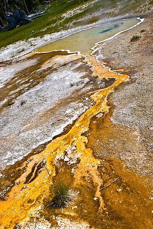 (�2009) Upper Geyser Basin