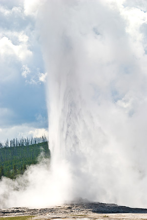 (�2009) Old Faithful