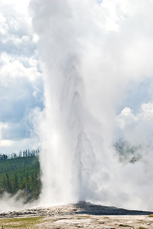 (�2009) Old Faithful