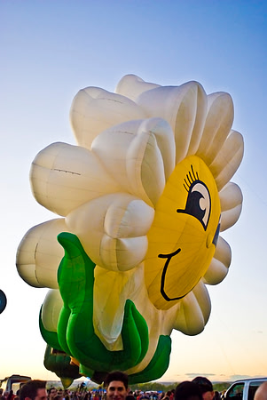 Hot Air Balloon