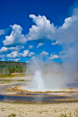 (�2009) Upper Geyser Basin