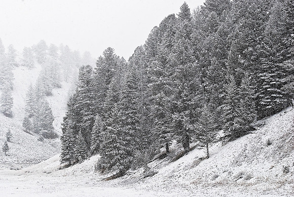 (�2010) Blacktail Lakes