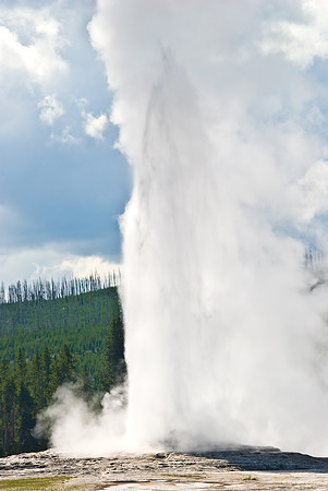 (�2009) Old Faithful