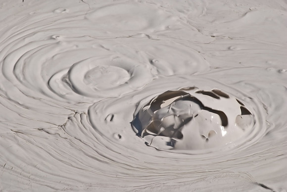(�2009) Artist's Paint Pot