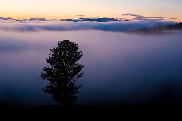 (�2009) Fog at Dawn