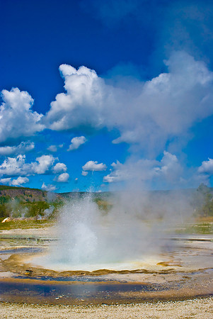 (�2009) Upper Geyser Basin
