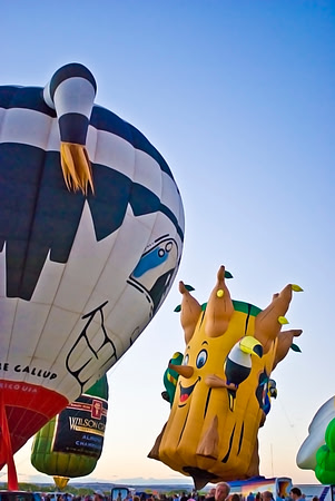 Hot Air Balloon