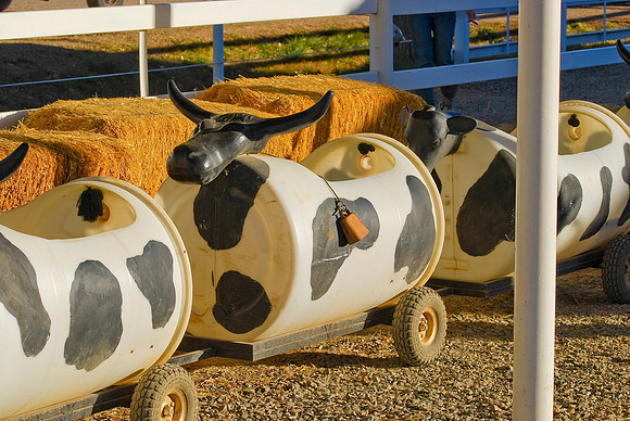 Cow Train